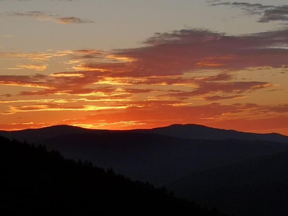 Ferienland Sonnenwald Fewo 46 Und Studio 50 In Schoefweg Bayerischer Wald Екстериор снимка