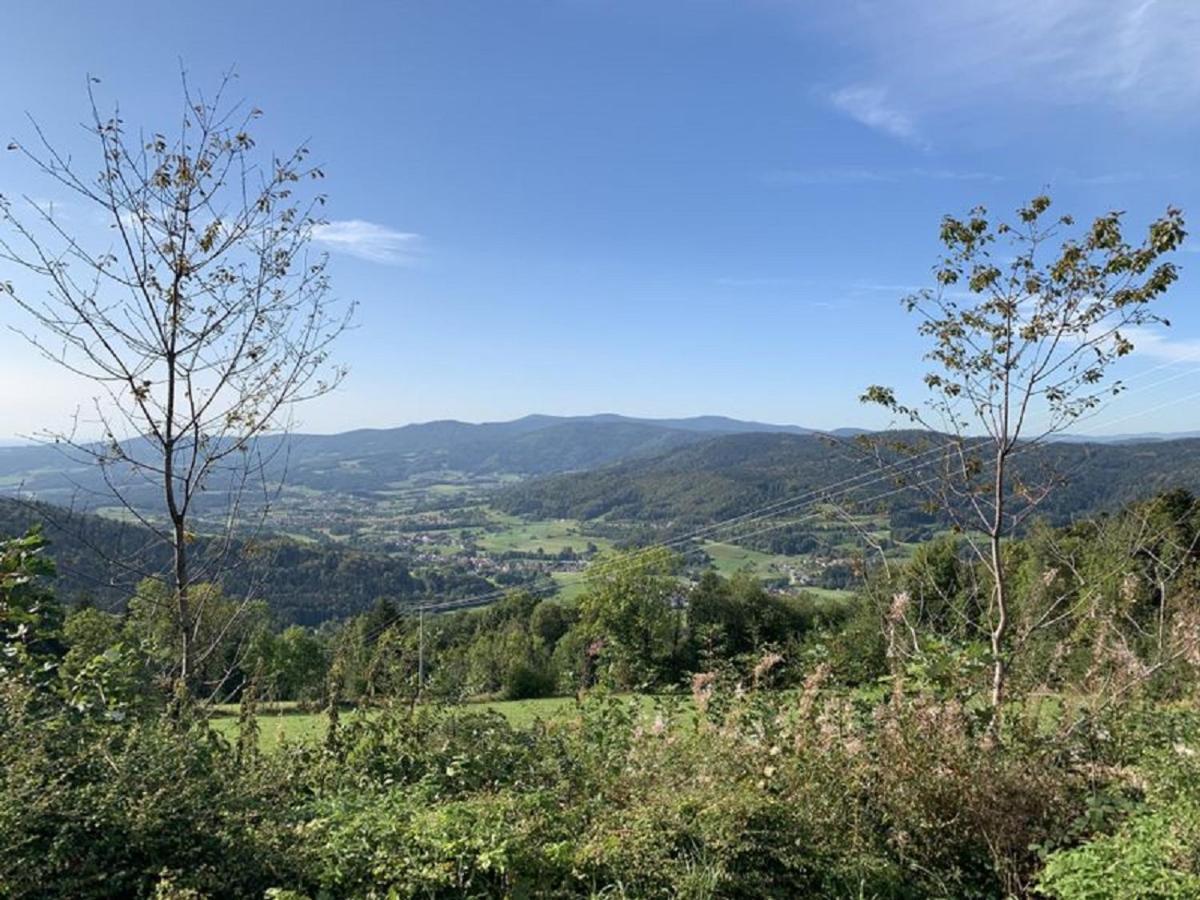 Ferienland Sonnenwald Fewo 46 Und Studio 50 In Schoefweg Bayerischer Wald Екстериор снимка
