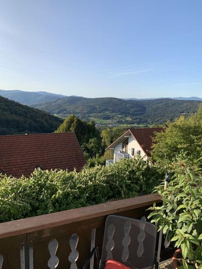 Ferienland Sonnenwald Fewo 46 Und Studio 50 In Schoefweg Bayerischer Wald Екстериор снимка