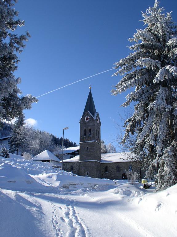 Ferienland Sonnenwald Fewo 46 Und Studio 50 In Schoefweg Bayerischer Wald Екстериор снимка