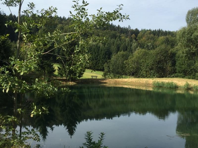 Ferienland Sonnenwald Fewo 46 Und Studio 50 In Schoefweg Bayerischer Wald Екстериор снимка