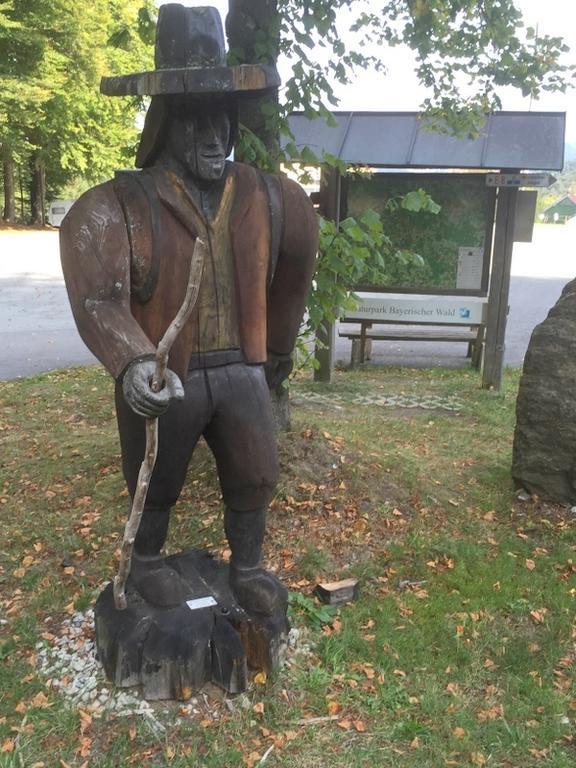 Ferienland Sonnenwald Fewo 46 Und Studio 50 In Schoefweg Bayerischer Wald Стая снимка