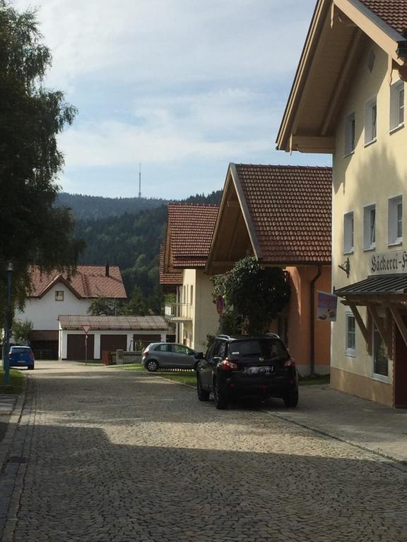 Ferienland Sonnenwald Fewo 46 Und Studio 50 In Schoefweg Bayerischer Wald Стая снимка