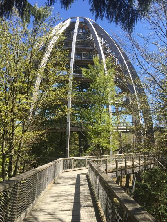 Ferienland Sonnenwald Fewo 46 Und Studio 50 In Schoefweg Bayerischer Wald Екстериор снимка